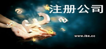 成都办理网络文化经营许可证的条件与流程详解